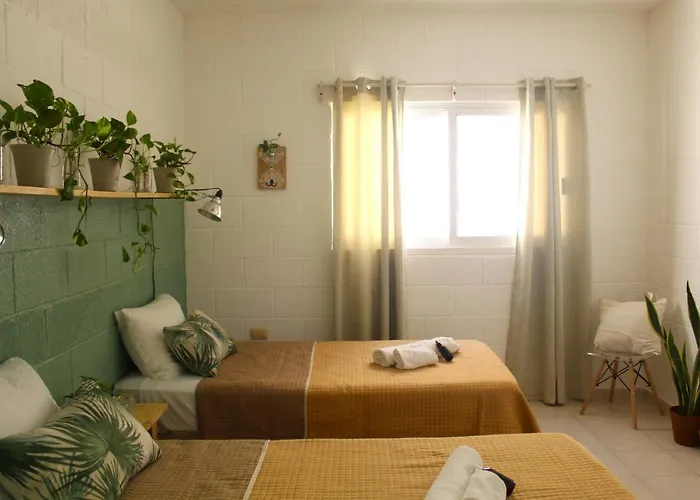 Casa Palmita Pensión