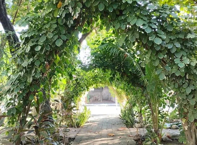 Pensión Casa Palmita