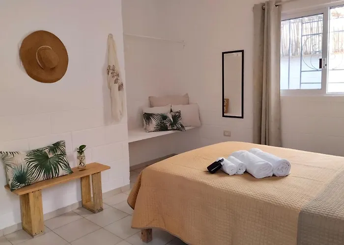 Casa Palmita Pensión