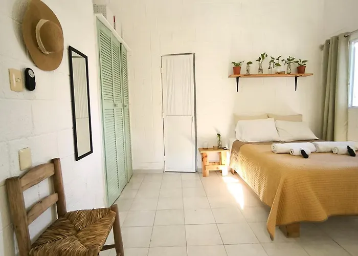 Casa Palmita Pensión