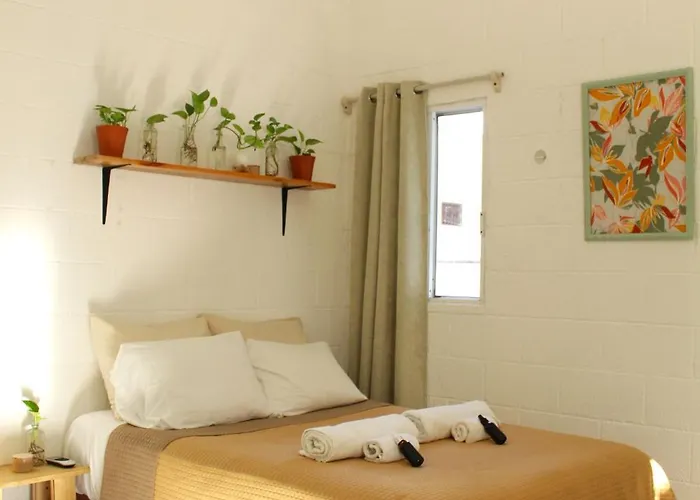 Casa Palmita Pensión