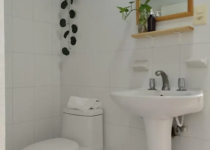 Casa Palmita Pensión