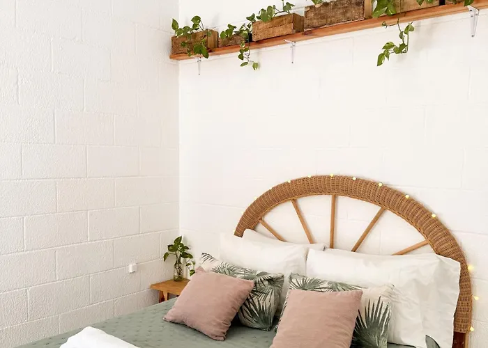 Casa Palmita Pensión