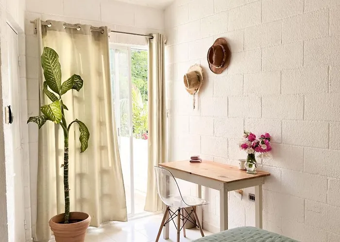 Pensión Casa Palmita