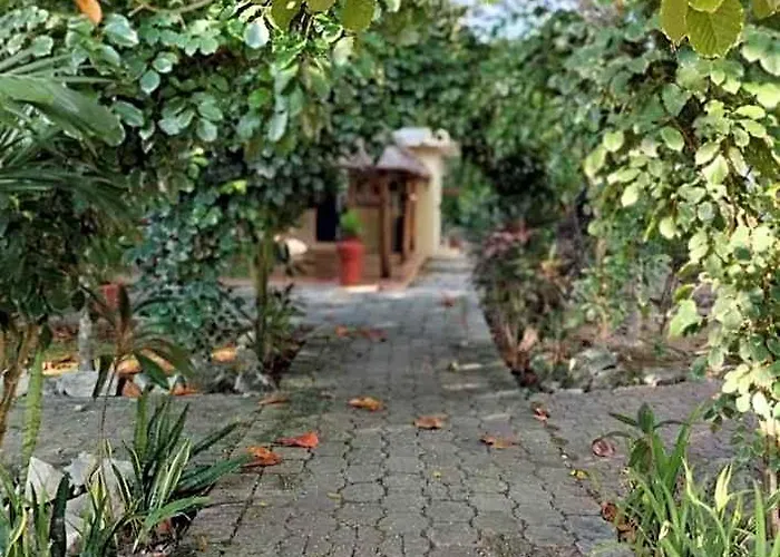 Pensión Casa Palmita *