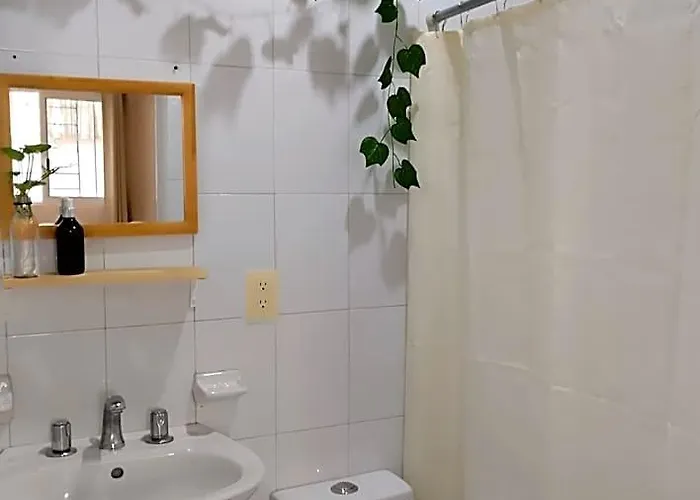 Casa Palmita Pensión